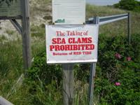 the taking of sea clams is prohibited