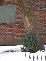 behind old north church: a tree, a wall, a gate